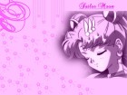 Sailor Moon Wallpapers #11