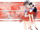 Sailor Moon Wallpapers #8