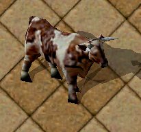 Bull