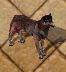 Dire Wolf