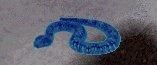Ice Serpent