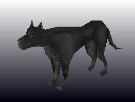 Panther