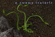 Swamp Tentacle