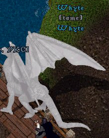 White Wyrm