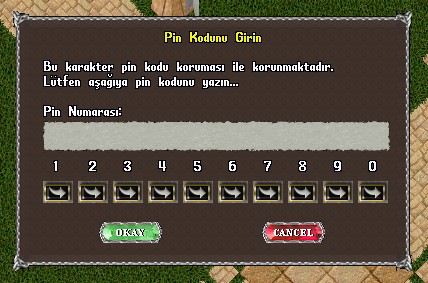 pin kodu ekranı